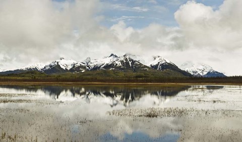 Framed Snowcapped Chugach Mountains in Copper River Delta, Chugach National Forest, Alaska Print