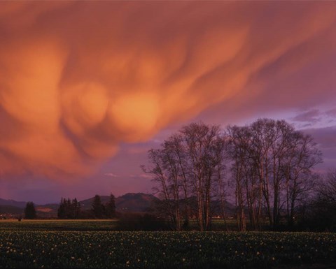 Framed Clouds in the Evening Light, Skagit Valley, Washington Print