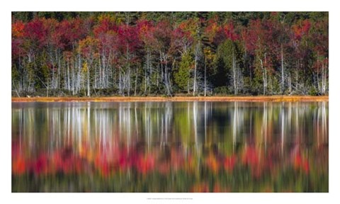 Framed Autumn Reflections Print