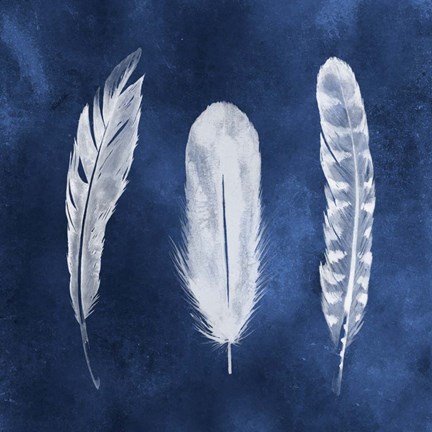 Framed Cyanotype Feathers I Print