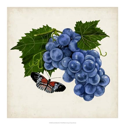 Framed Fruit with Butterflies II Print