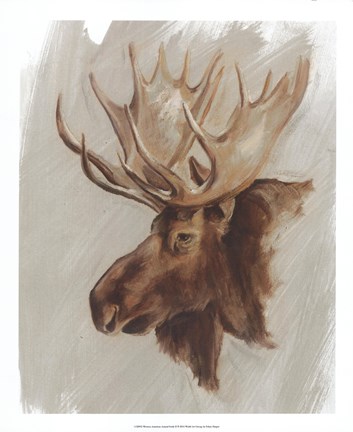 Framed Western American Animal Study II Print