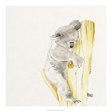 Framed Baby Koala I Print
