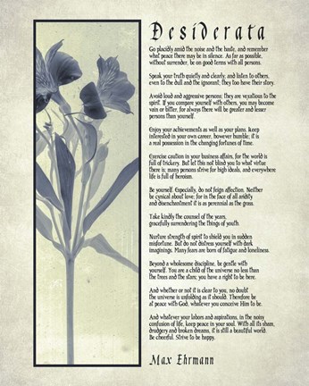 Framed Desiderata Blue Daguerreotype Print