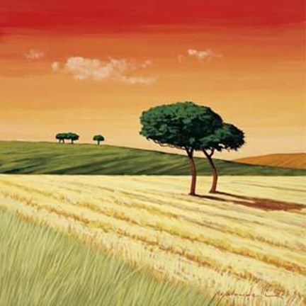 Framed Campo Al Tramonto Print