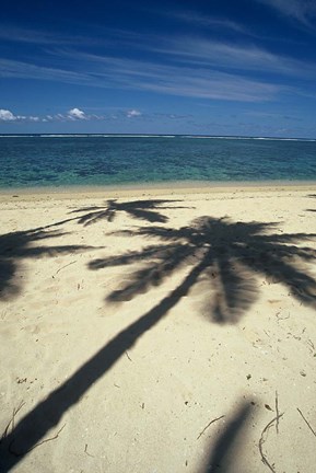 Framed Shadow of Palm Trees on Beach, Coral Coast, Fiji Print