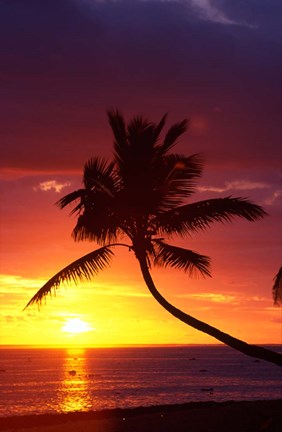 Framed Sunset and Palm Trees, Coral Coast, Viti Levu, Fiji Print