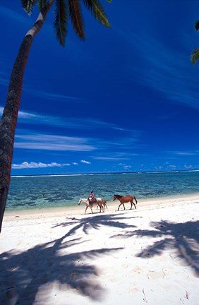 Framed Palm Trees and Horses, Tambua Sands, Coral Coast, Fiji Print