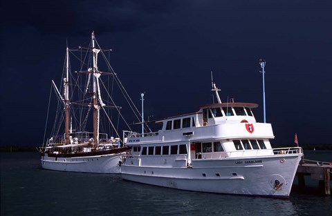 Framed Denarau Marina near Nadi, Fiji Print