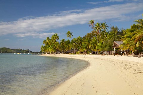 Framed Beach and palm trees,  Malolo Lailai Island, Mamanuca Islands, Fiji Print
