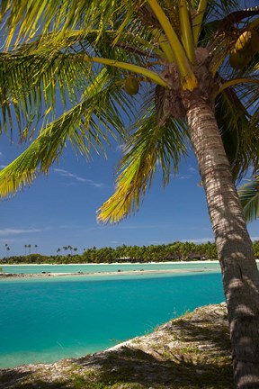 Framed Palm trees and lagoon entrance, Musket Cove Island Resort, Fiji Print