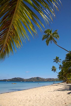 Framed Beach and palm trees, Plantation Island Resort, Malolo Lailai Island, Mamanuca Islands, Fiji Print