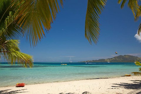 Framed Beach and palm trees, Plantation Island Resort, Malolo Lailai Island, Fiji Print