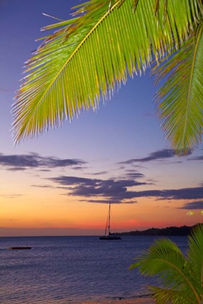 Framed Palm trees and sunset, Plantation Island Resort, Malolo Lailai Island, Mamanuca Islands, Fiji Print