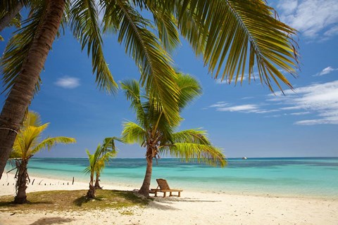 Framed Beach, palm trees and lounger, Plantation Island Resort, Malolo Lailai Island, Mamanuca Islands, Fiji Print
