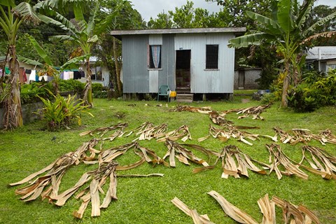Framed Iron house, Namaqumaqua village, Viti Levu, Fiji Print