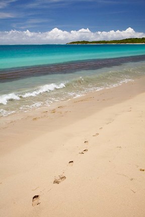 Framed Footprints in sand on Natadola Beach, Coral Coast, Viti Levu, Fiji Print