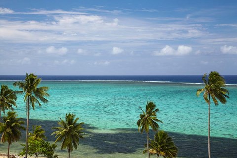 Framed Palm trees and coral reef, Crusoe&#39;s Retreat, Coral Coast, Viti Levu, Fiji Print