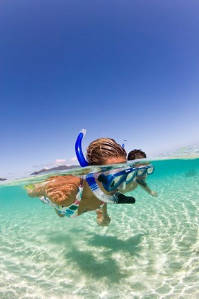 Framed Couple snorkeling near Beqa Lagoon, Beqa Island, Fiji Print