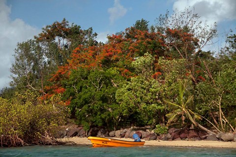 Framed Christmas Tree and Orange Skiff, Turtle Island, Yasawa Islands, Fiji Print