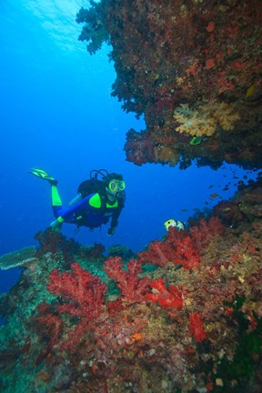 Framed Diver, Coral-lined Arc, Beqa Island, Fiji Print