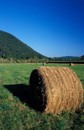 Framed Hay Bales in Litchfield Hills, Connecticut Print