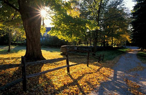Framed Yard of the Main House on Henderson Property in Litchfield Hills, New Milford, Connecticut Print