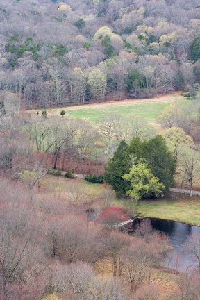 Framed Spring Forest in East Haddam, Connecticut Print