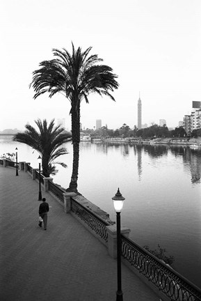 Framed View of the Nile River, Cairo, Egypt Print