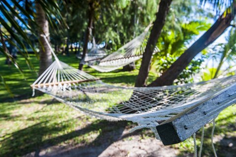 Framed Hammock on the beach, Nacula island, Yasawa, Fiji, South Pacific Print