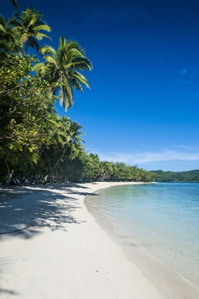 Framed White sand beach and water at the Nanuya Lailai island, the blue lagoon, Fiji Print