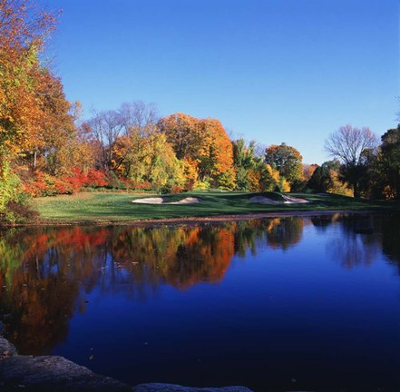 Framed Trees in a golf course, Patterson Club, Fairfield, Connecticut Print