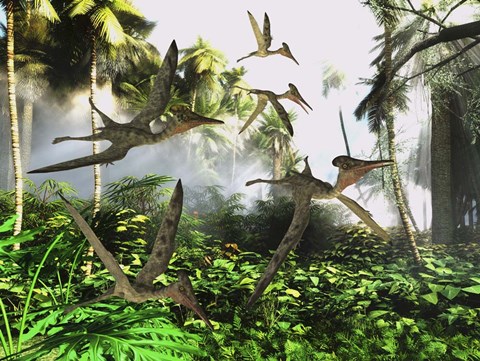 Framed flock of Pterodactylus reptiles fly over the jungle searching for their next meal Print