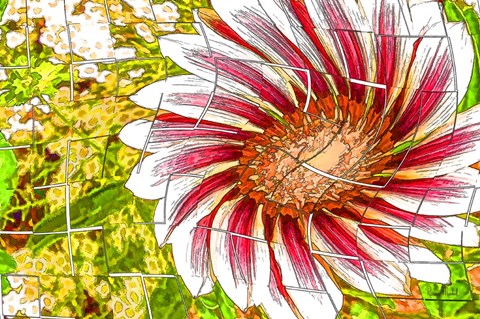 Framed Floral Twist Print