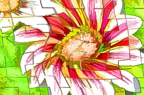 Framed Floral Twist II Print