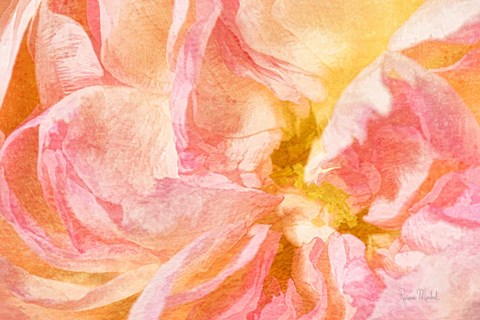 Framed New Perspective Print