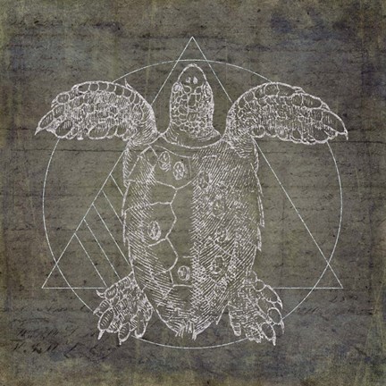 Framed Turtle Geometric Silver Print