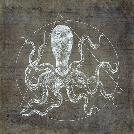 Framed Octopus Geometric Silver Print