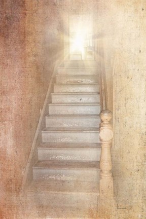 Framed Vintage Study Print