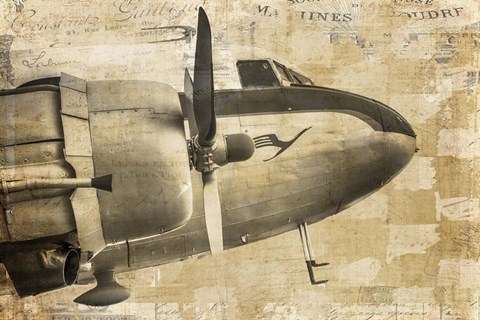 Framed Prop Plane Nose Print