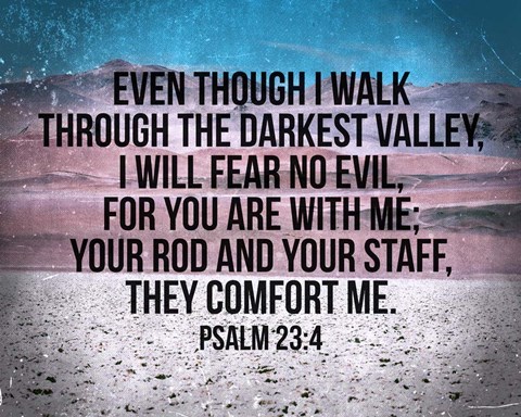 Framed Psalm 23:4 Print
