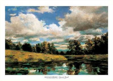Framed Secret Pond Print