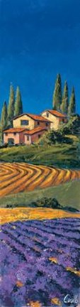 Framed Casale Fra I Cipressi Print