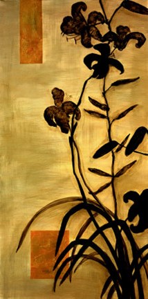 Framed Lily Silhouette II Print
