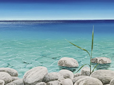 Framed Trasparenza Print