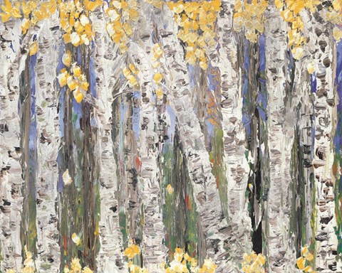 Framed Yellow Leaf Birch Trees Print