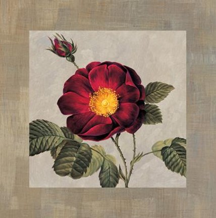 Framed E. Lopez - Timeless I Size 31.5x31.5 Print