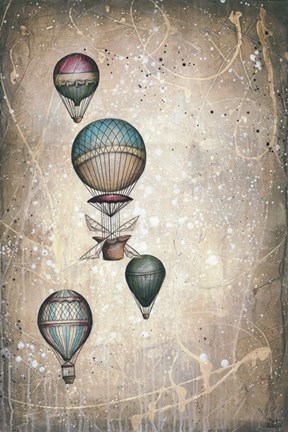 Framed Taking to the Skies I Print