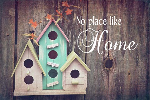 Framed No Place Like Home Bird Houses Print