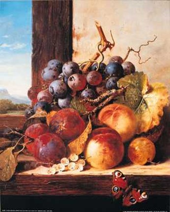 Framed Plums Peaches Grapes &amp; a Butterfly Print